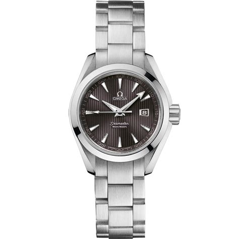 Seamaster Steel Date Watch 231.10.30.61.06.001 